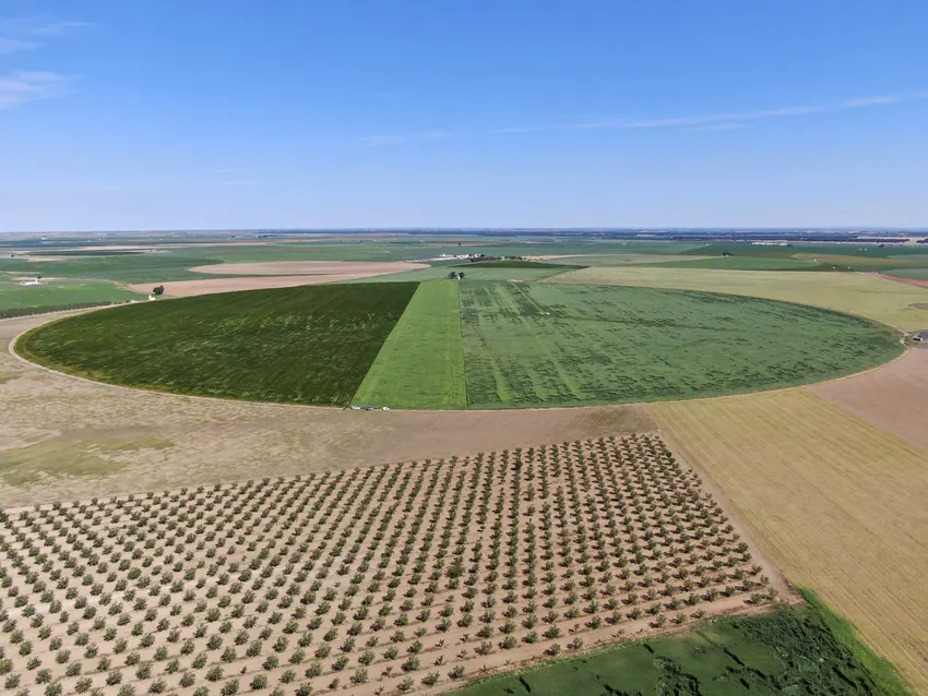 Campos de cultivo circulares vistos desde el aire